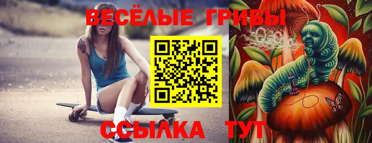 Галлюциногенные грибы MAGIC MUSHROOMS  Вход с VPN  Оренбург  купить наркотик  Псилоцибиновые грибы Psilocybe 